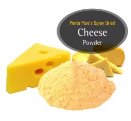 Cheese Powder Spray Dried